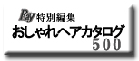 おしゃれヘアカタログ500